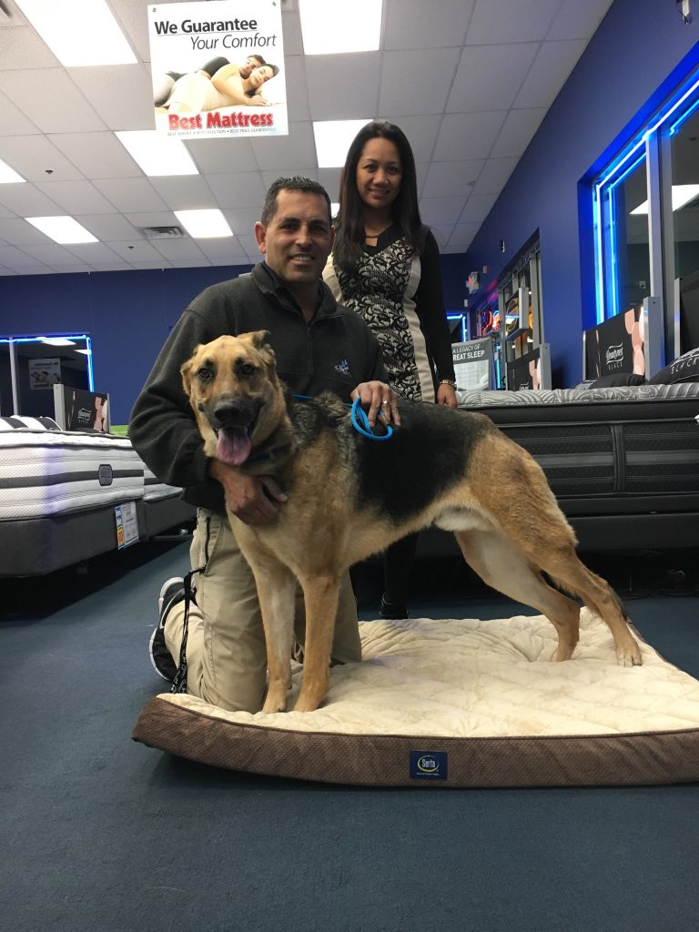 Kai, a german shepard, along with his new family. He was adopted from the NSPCA and Best Mattress gave them a new pet bed