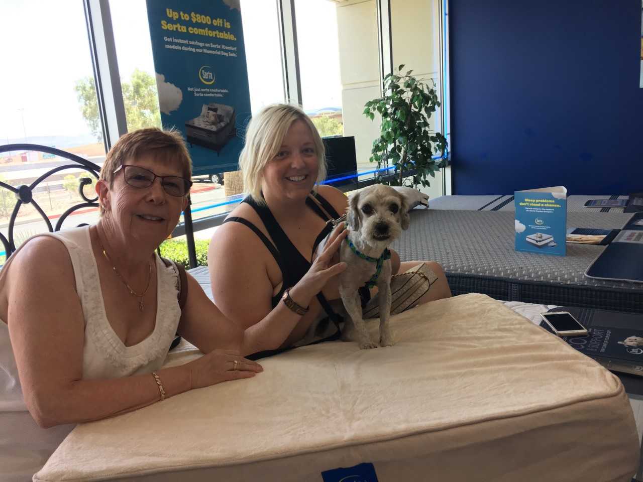 Rufus was adopted and given a free pet bed from Beat Mattress in Las Vegas. 