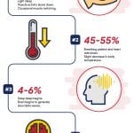 The Five Stages of Sleep