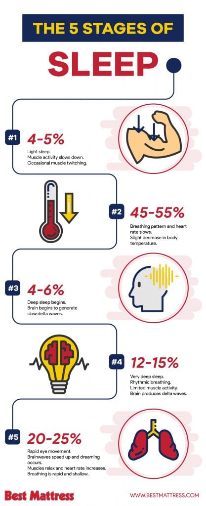 The Five Stages of Sleep