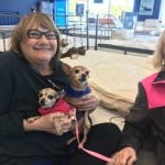 Peanut and Raisin Pet adoption