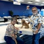 Andi the Terrier adopted from The NSPCA and was given a free pet bed from Best mattress