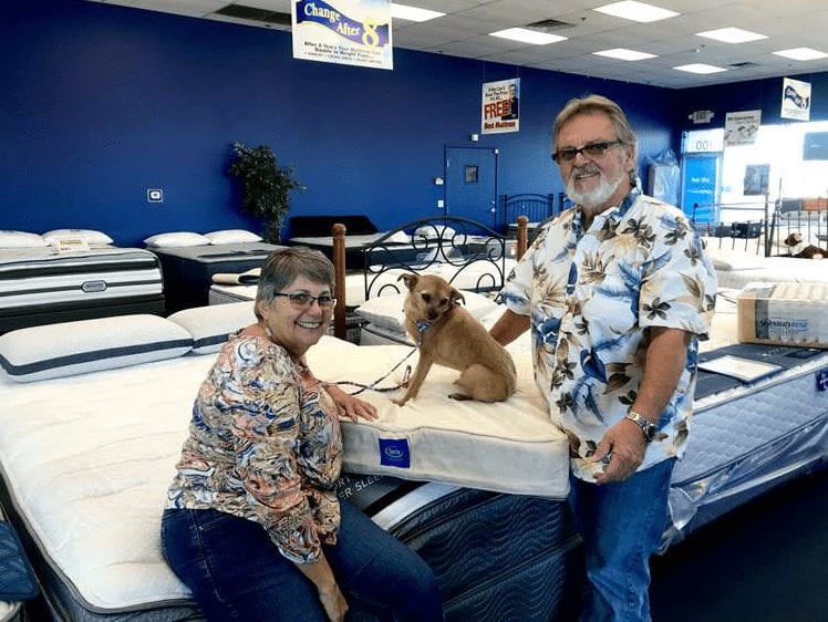 Andi the Terrier adopted from The NSPCA and was given a free pet bed from Best mattress