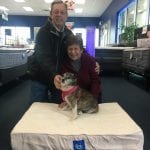 Mellow Molly Adopted from the NSPCA and given a serta ped bed from Best Mattress