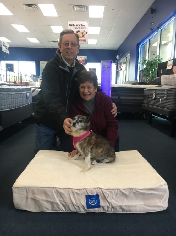 Mellow Molly Adopted from the NSPCA and given a serta ped bed from Best Mattress