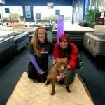 Millie with two ladies from pet adoption service
