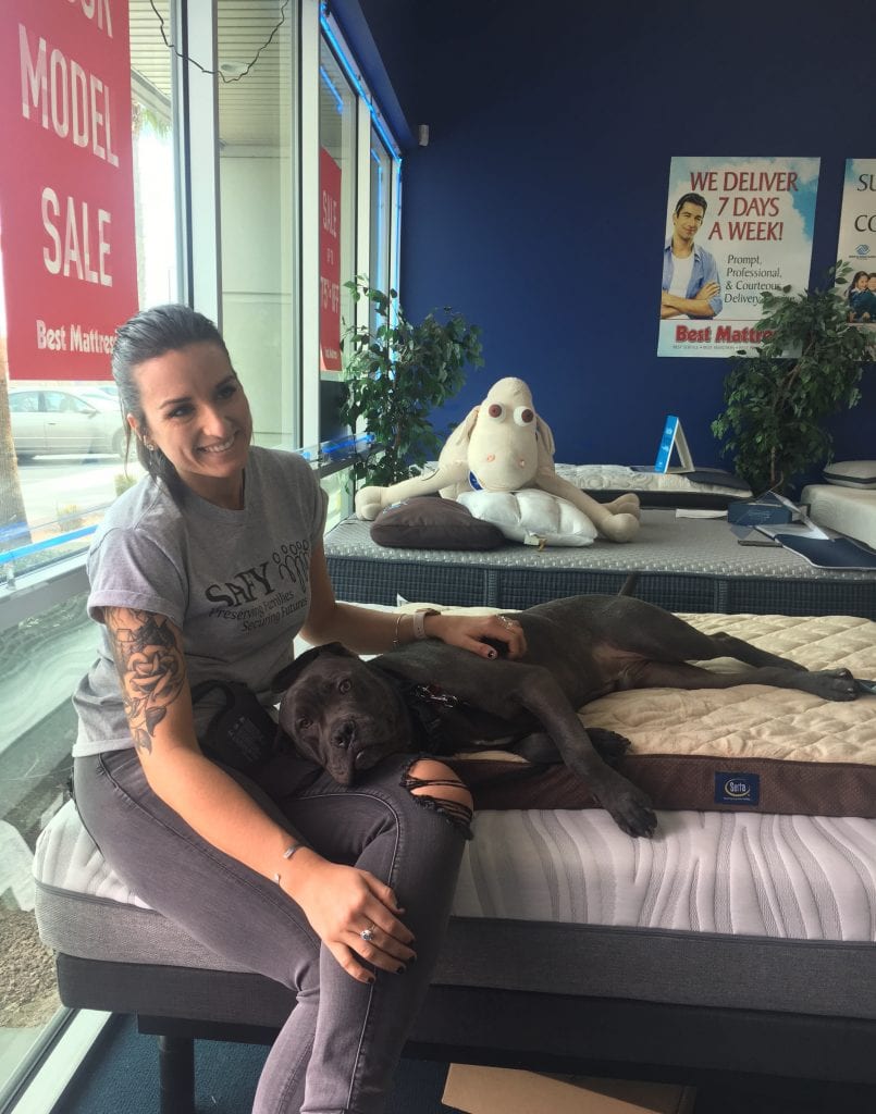 pet bed donated to a family who adopted a puppy from the NSPCA in Las Vegas