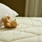 bear on mattress