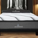 Sherwood Bedding - EvoSleep mattress
