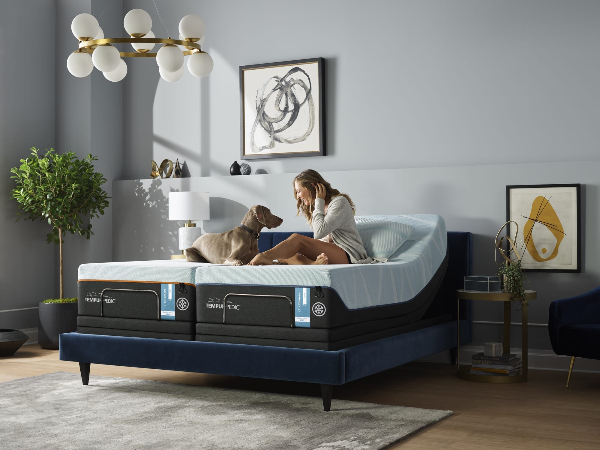Top 5 Best Luxury Mattresses Best Mattress