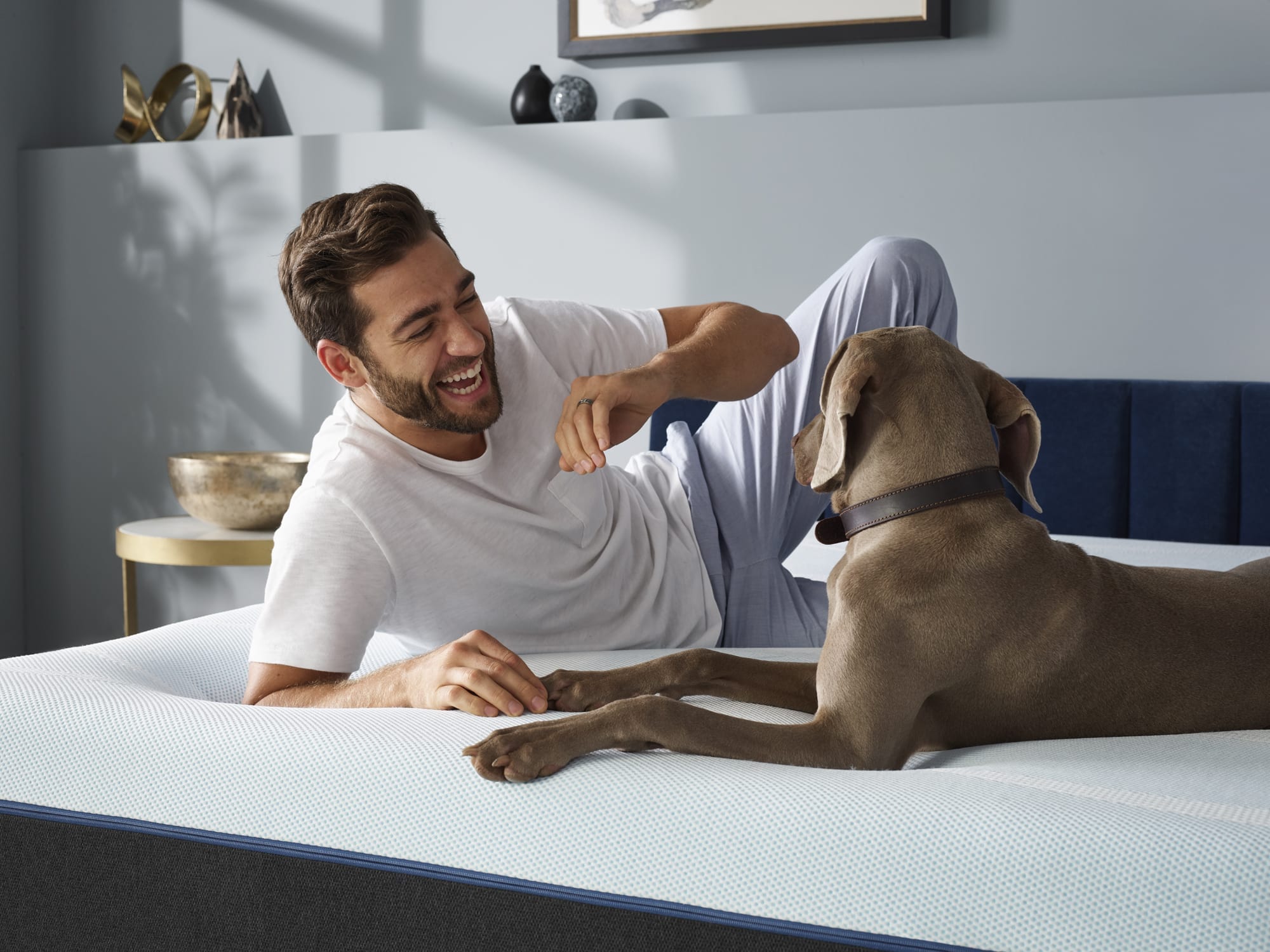 Man and dog on a LUXEbreeze° Soft Queen mattress