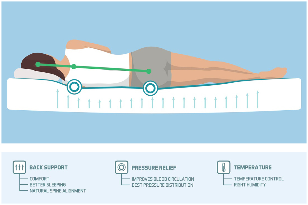 Infographic showing the proper sleeping ergonomics and body posture