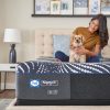 Sealy Posturepedic Hybrid Plus mattress with woman and dog