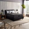 Beautyrest Black Hybrid L-Class Plush room angled view