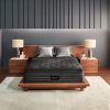 Beautyrest Black C-Class Plush Pillow Top room front view