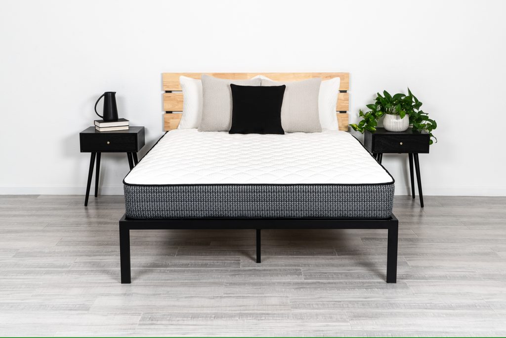 6 in foam mattress twin