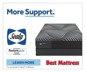 Sealy Mattress - More Support