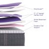 Rejuvenate Premier Layers
