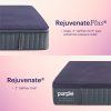 Purple Rejuvenate