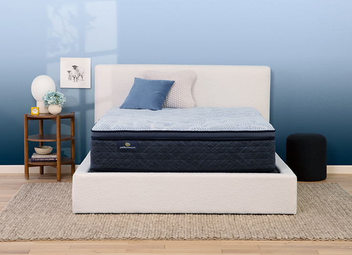 Serta perfect sleeper euro top plush 2025