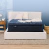 Serta Perfect Sleeper Chattahoochee Hills Plush Pillow Top Mattress