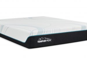 Tempurpedic Adapt Medium Silo