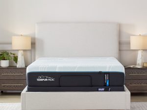 Tempurpedic ProAdapt Soft Room Image