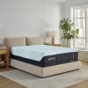 Tempurpedic Adapt Luxe Adapt