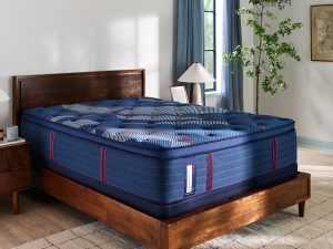 Albany II Soft Plush Pillow Top