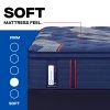 Albany II Soft Plush Pillow Top Feel