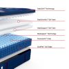 Albany II Soft Plush Pillow Top Layers