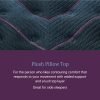 Beautyrest World Class Plush Pillow Top Surface