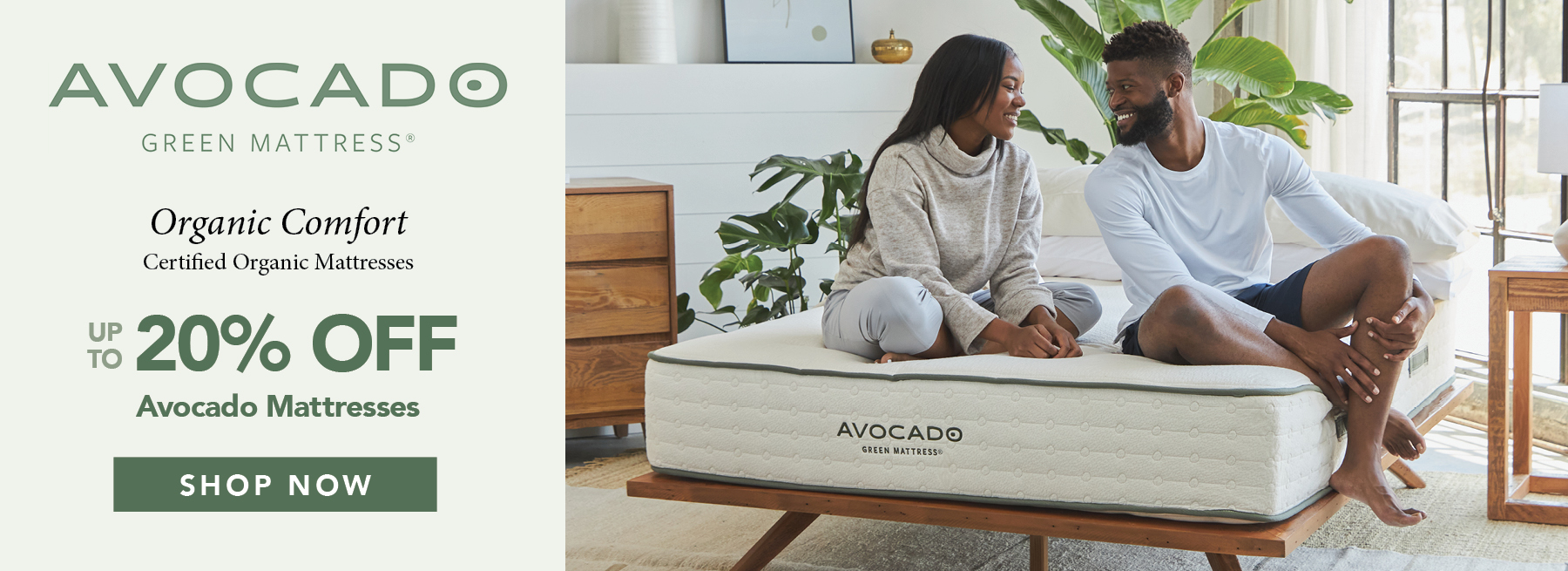 Presidents Day Avocado Sale